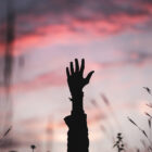 bryan minear 317365